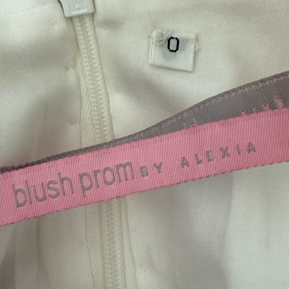 Blush Prom Skirt w/ orchid type floral design size 0 - Picture 5 of 6